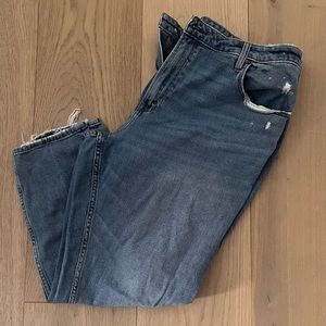 Abercrombie & Fitch Curve Love High Rise Skinny Jean